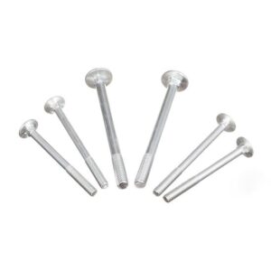 6mm 8mm 12mm M2 M4 M6 Machinery Blue-White Zinc Plated Steel/Stainless Flat Head DIN603 Carriage Bolt