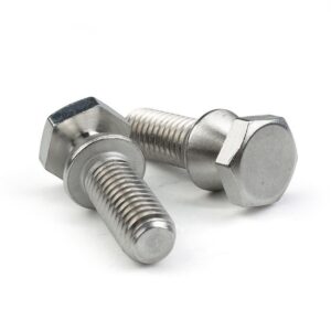 Customized Bolt Stainless Steel 304 316 A2 A4 Button Head Anti Theft Hex Head Shear Bolt Special-Shaped Bolts