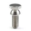 Customized Bolt Stainless Steel 304 316 A2 A4 Button Head Anti Theft Hex Head Shear Bolt Special-Shaped Bolts