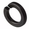 Factory Supply Directly High Quality DIN127 Grade4/8/10 Carbon Steel Black Spring Washer
