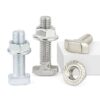 Fastener Supplier Stainless Steel T Bolt Nut High Strength Carbon Steel Bolt