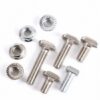 Fastener Supplier Stainless Steel T Bolt Nut High Strength Carbon Steel Bolt