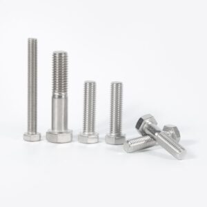 DIN/ASTM/ANSI/ISO/Uni/as/GB SS304 SS316 Diameter M4-M36 25mm-300mm DIN931 DIN933 Customized Hex Head Stainless Steel Hex Bolt