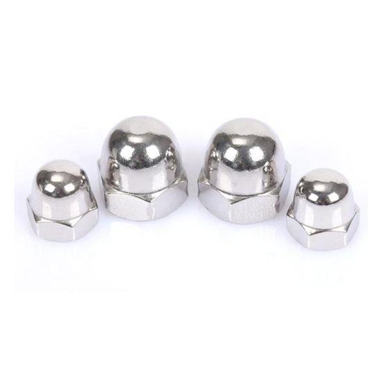 High Quality M5 M6 M8 M10 Stainless Steel Hexagon Domed Cap Nuts DIN1587