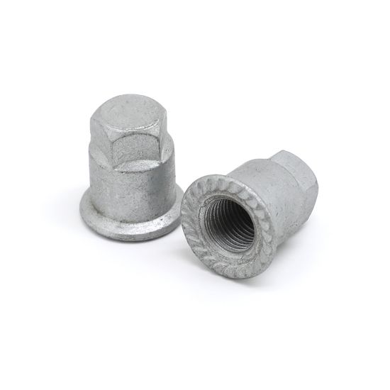 temp_Pentagonal-Flange-Cap-Nuts_02-1-1.jpg Pentagonal Flange Cap Nuts