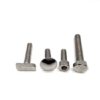 Stainless Steel Fastener T Hex Flange Allen Carriage U Hexagon Bolt and Nut