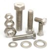 Standard Custom Fastener Ss 316 316L SS304 A2 A4 70 80 Stainless Steel Hex Bolt and Nuts